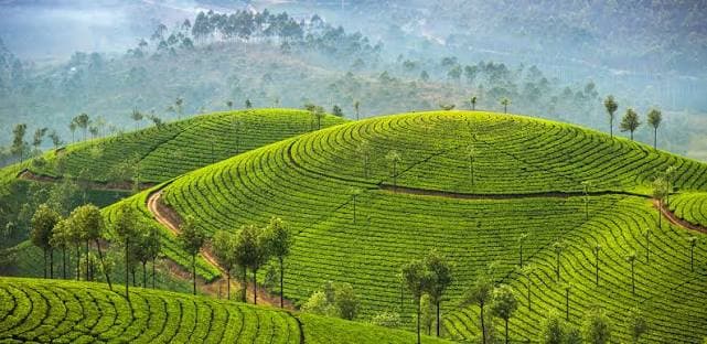 Royals Kerala